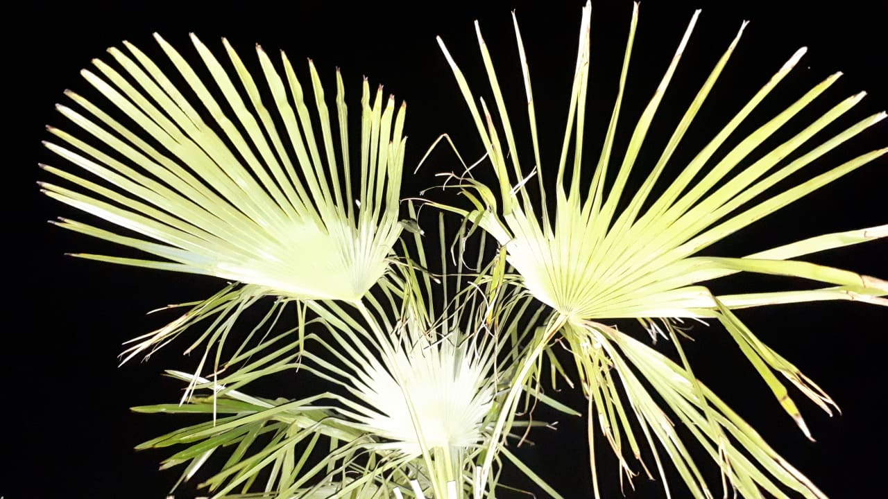 Ausblick Vitalhotel König am Park