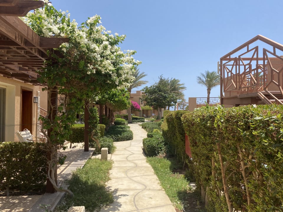 Gartenanlage Shams Prestige Abu Soma-Adults Only