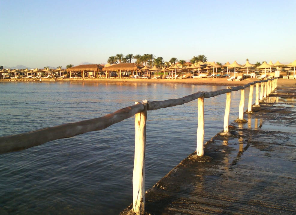 Blick auf den Hotelstrand Ali Baba Palace Resort