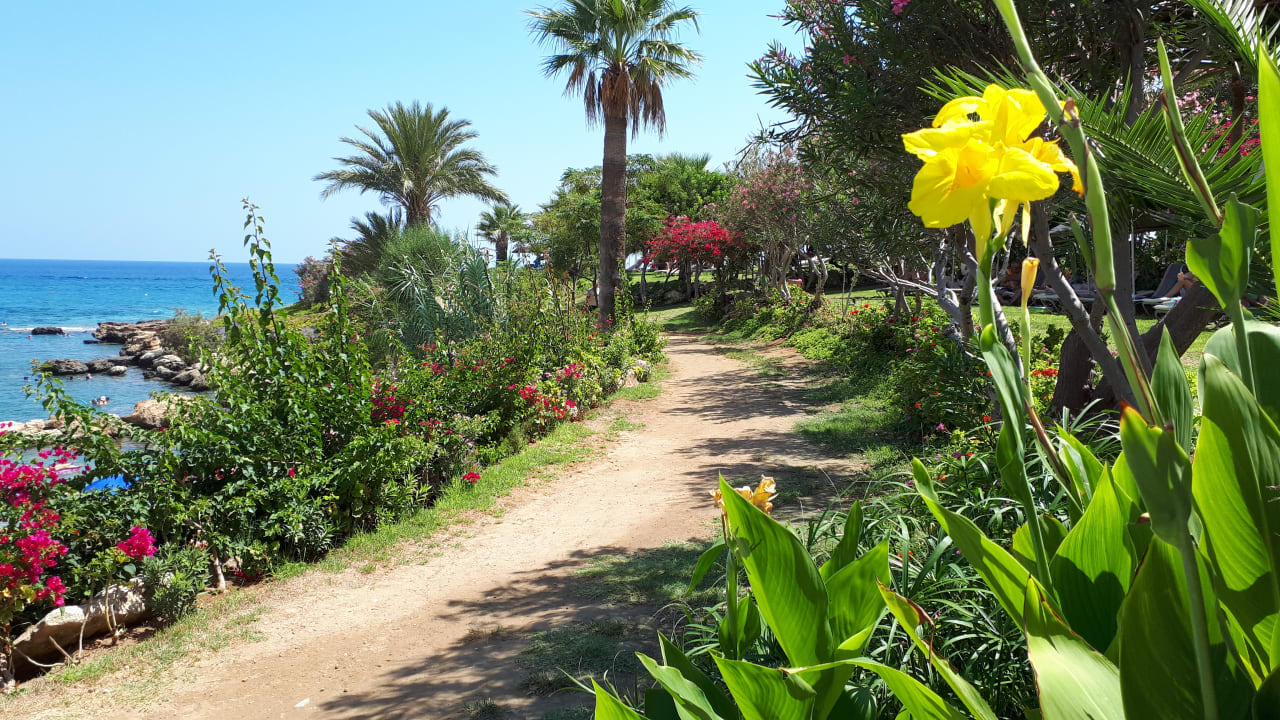 Gartenanlage Crystal Springs Beach Hotel