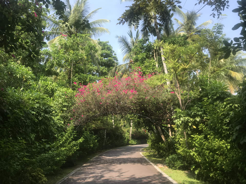 Gartenanlage Villa Park Sun Island