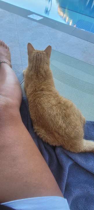 Pool Seaden Quality Resort & Spa