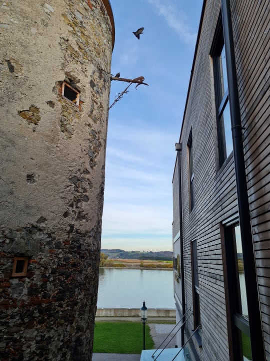 Ausblick Donau Lodge