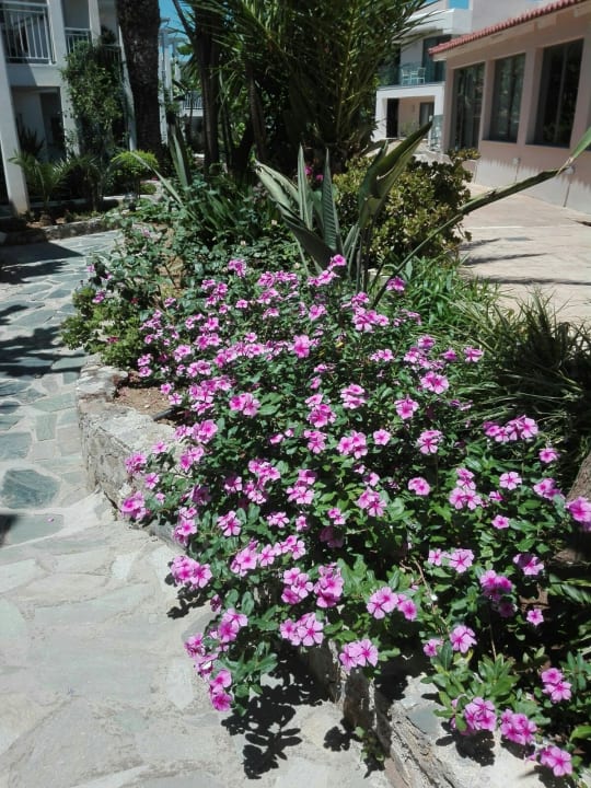 Gartenanlage HARPIN Happy Days Beach Hotel