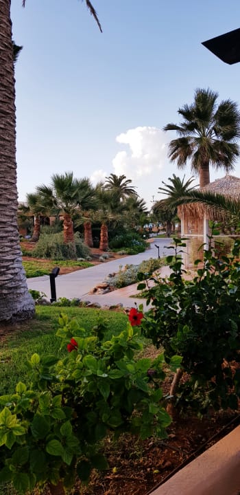 Gartenanlage Anissa Beach & Village