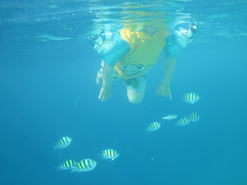 Unser Dreijähriger im Meer während wir schnorcheln ROBINSON MALDIVES