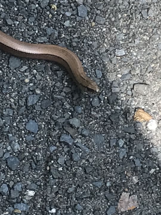 Sonstiges Hotel garni Sonnenhof