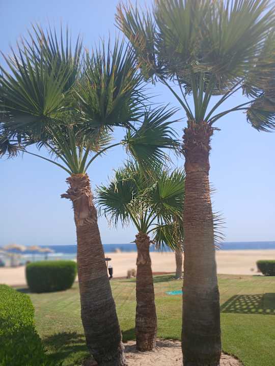 Strand Radisson Blu Resort, El Quseir