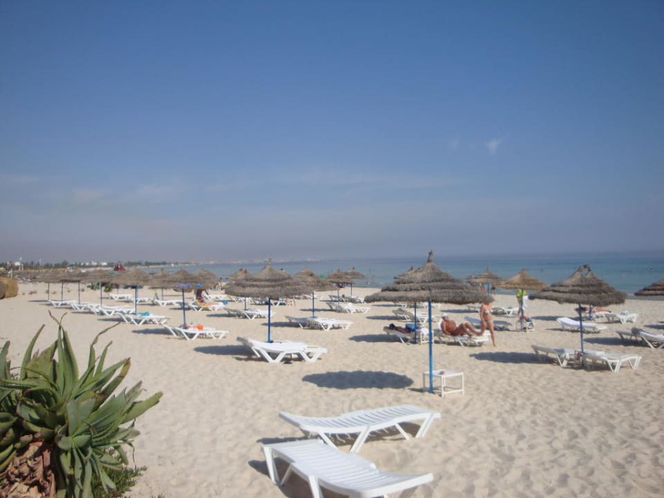 Liegen Hotel Amir Palace