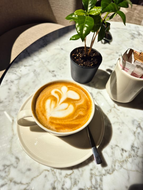 Gastro Anda Barut Collection