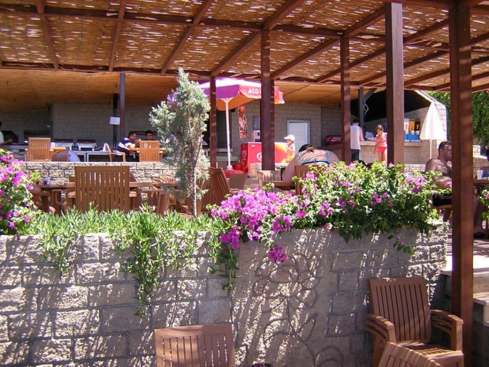 Die Strandbar Club Side Coast