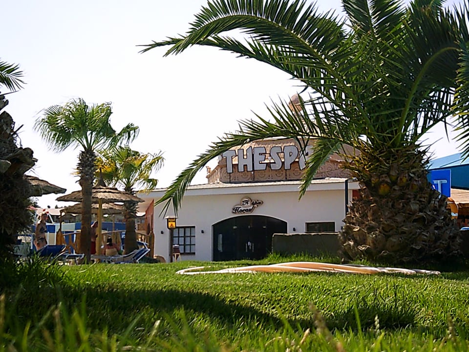 Gartenanlage Pickalbatros Jungle Aqua Park Resort - Neverland Hurghada