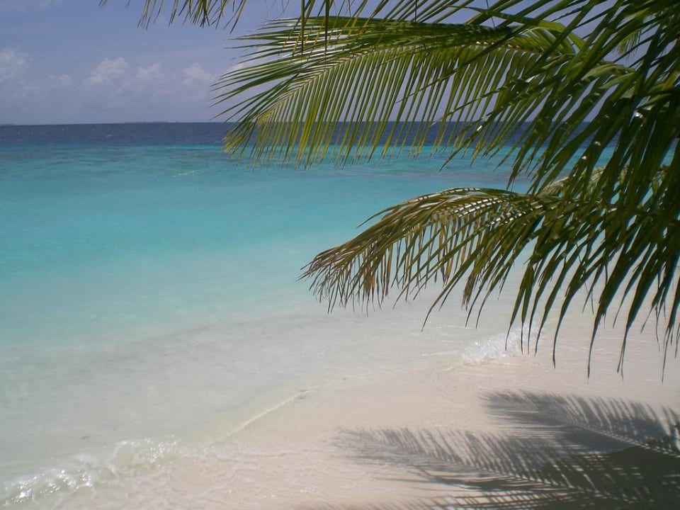Nordstrand Fihalhohi Maldives