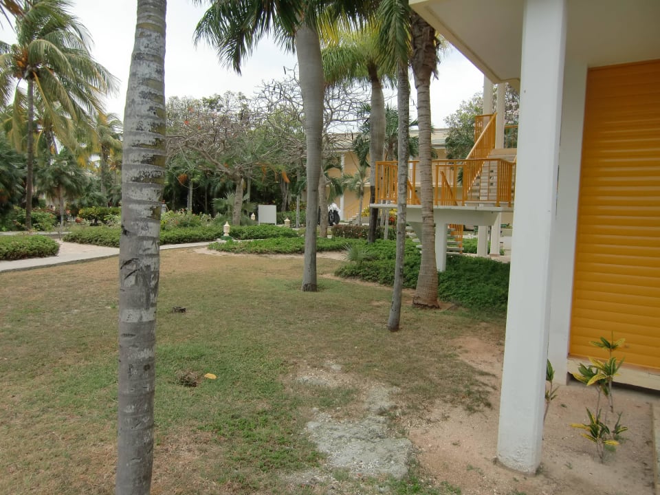 Vertrocknete und verschmutze Gartenanlage Hotel Melia Cayo Coco - Adults only