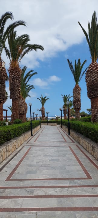 Gartenanlage Annabelle Beach Resort