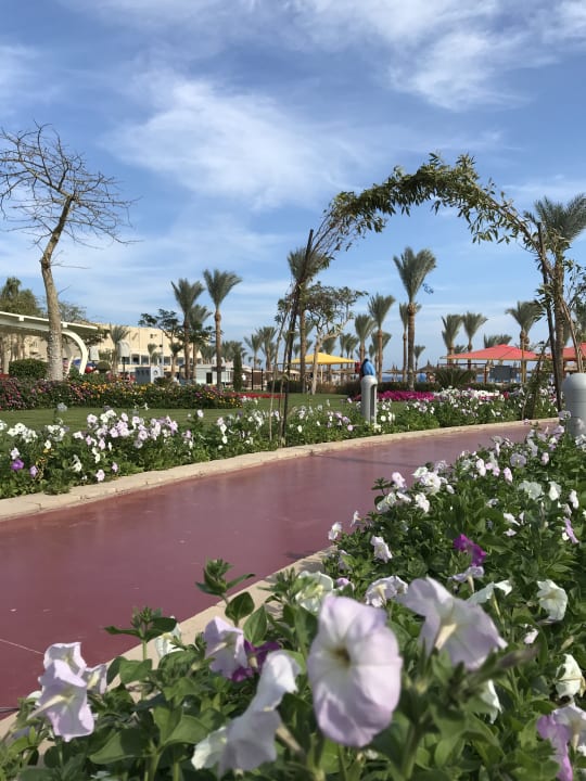 Gartenanlage Pickalbatros Palace Resort