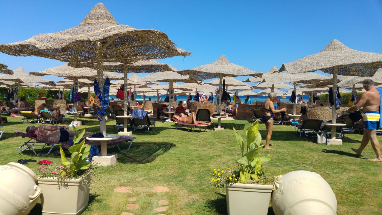 Relaxen pur Jaz Makadi Blue - TUI BLUE Makadi - Adults Friendly 16 Years Plus