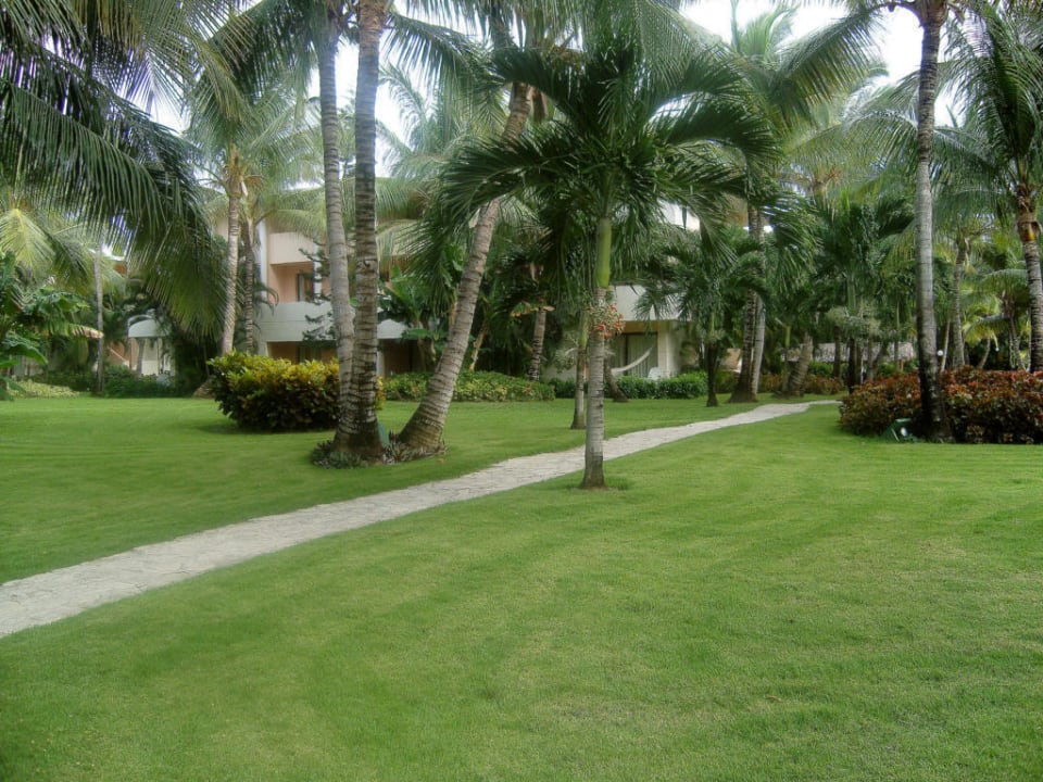Gartenanlage Catalonia Punta Cana - All Inclusive
