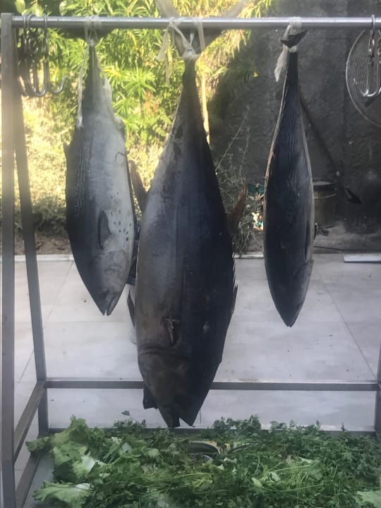 Essen Numa Bay Exclusive Hotel