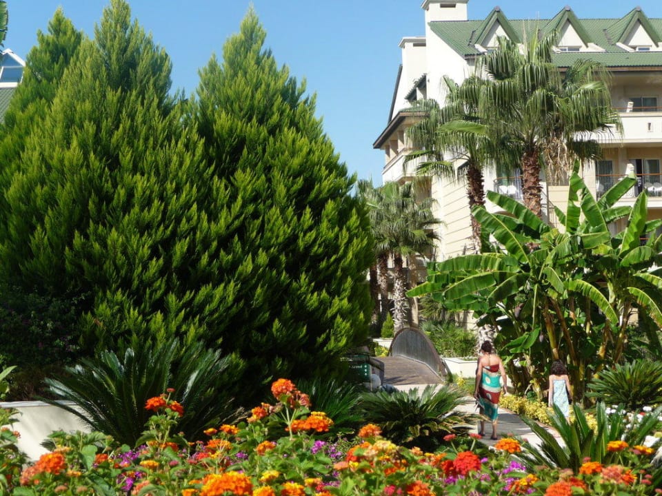 Alles grün im Alva Donna Dobedan Exclusive Hotel And Spa