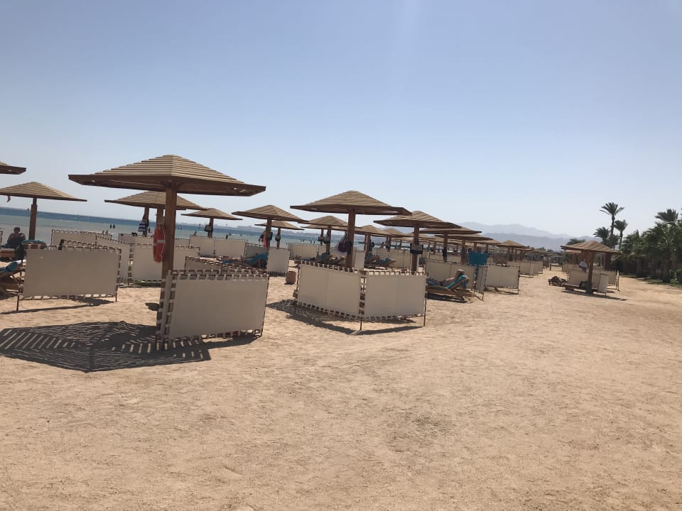 Strand Shams Prestige Abu Soma-Adults Only