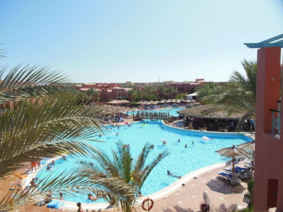 Activity Pool mit Poolbar! Die besten Bahama Mamas   TUI MAGIC LIFE Redsina Sharm El Sheikh