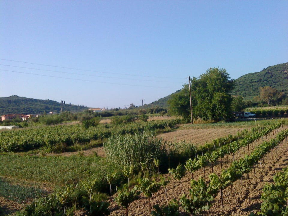 Aussicht Zimmer 214 Hotel Zante Village
