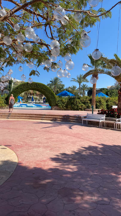 Gartenanlage Desert Rose