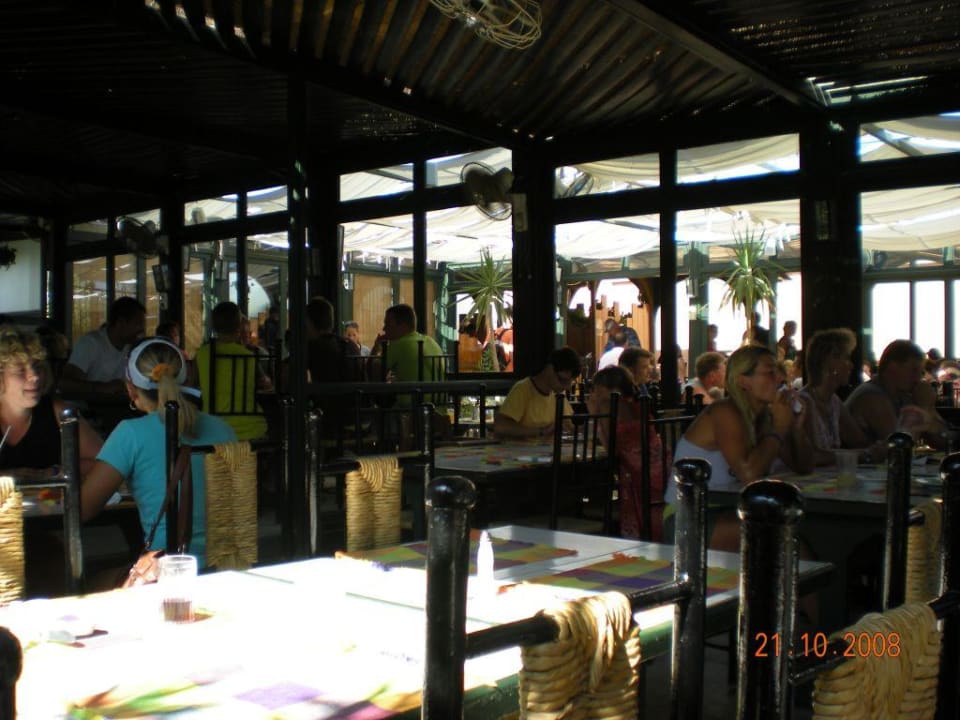 Man bekommt immer einen Platz im Schatten Giftun Azur Resort