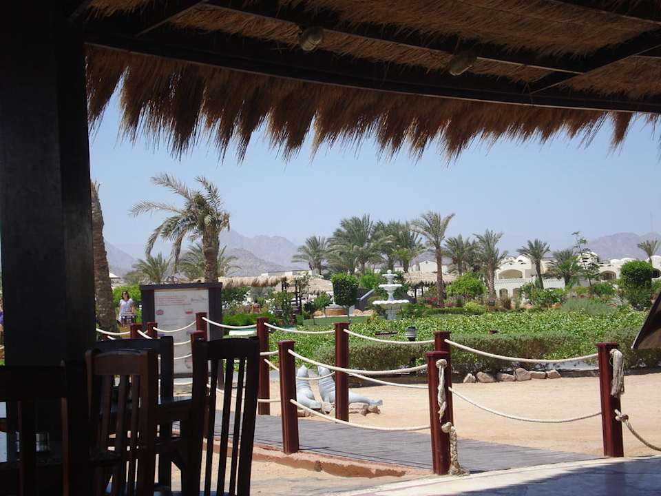 Widok z baru przy plaży Regency Plaza Aqua Park & Spa