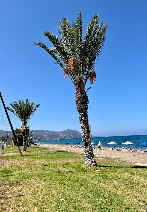 Strand Souli Beach Hotel