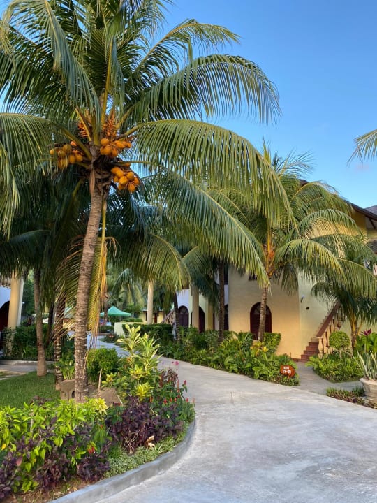 Außenansicht Castello Beach Hotel