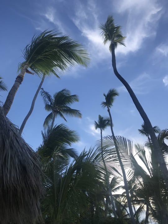 Strand Grand Palladium Punta Cana Resort & Spa