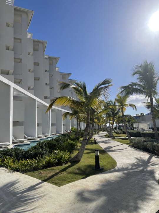 Gartenanlage Dreams Cap Cana Resort & Spa