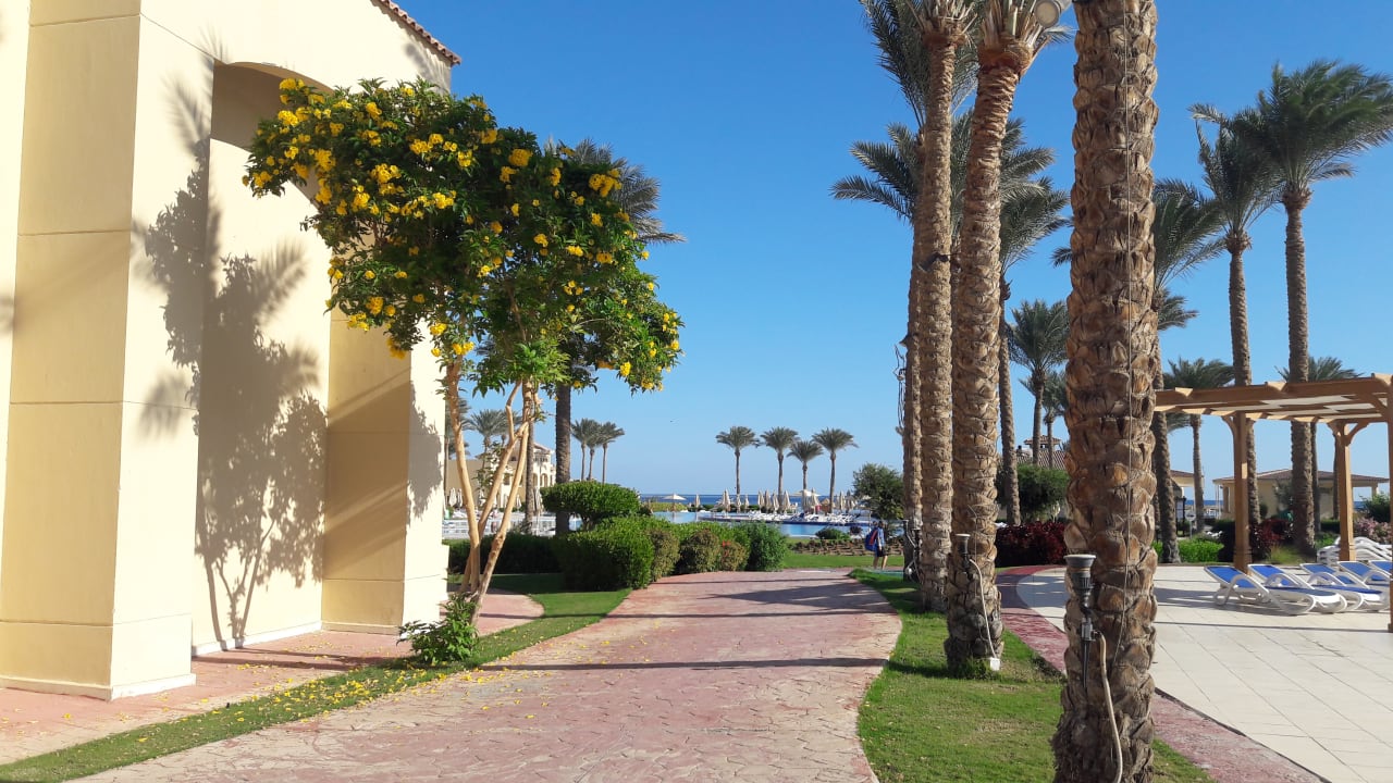 Pool Cleopatra Luxury Resort Makadi Bay