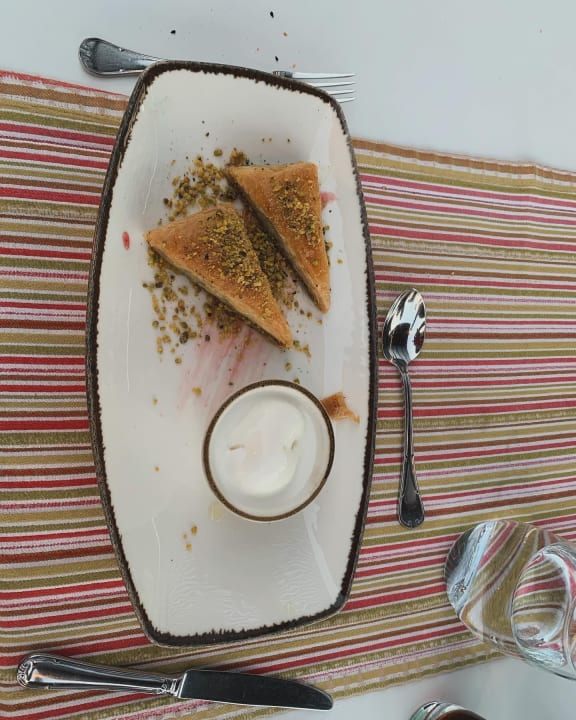 Gastro Arum Barut Collection