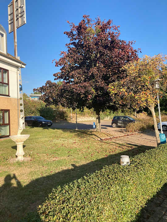 Außenansicht Best Western Hotel Helmstedt am Lappwald