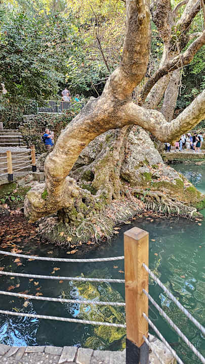 Gartenanlage Castival Hotel