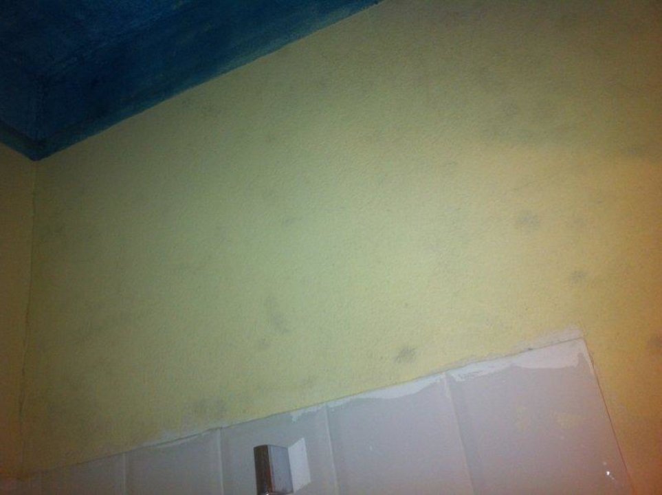 Schimmelflecken_1 Country House Bosco Lazzeroni