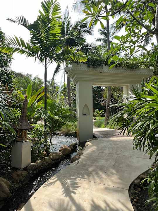 Gartenanlage Zazen Boutique Resort & Spa