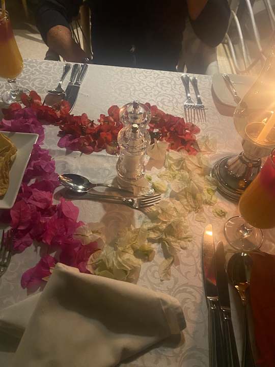 Gastro Shams Prestige Abu Soma-Adults Only