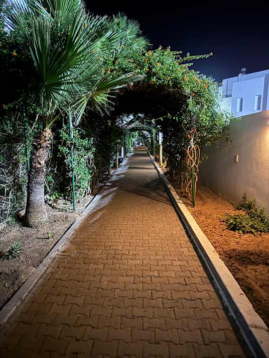 Gartenanlage Hotel Royal Nozha