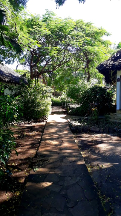 Gartenanlage Spice Island Hotel & Resort