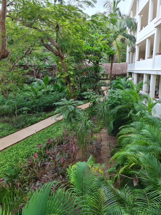 Gartenanlage Akumal Bay Beach & Wellness Resort