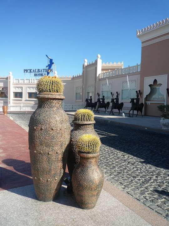 Nette Deko Pickalbatros Palace Resort