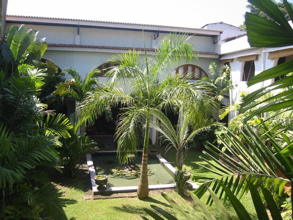Abendessen mit dieser Aussicht! Hotel Club Palm Garden