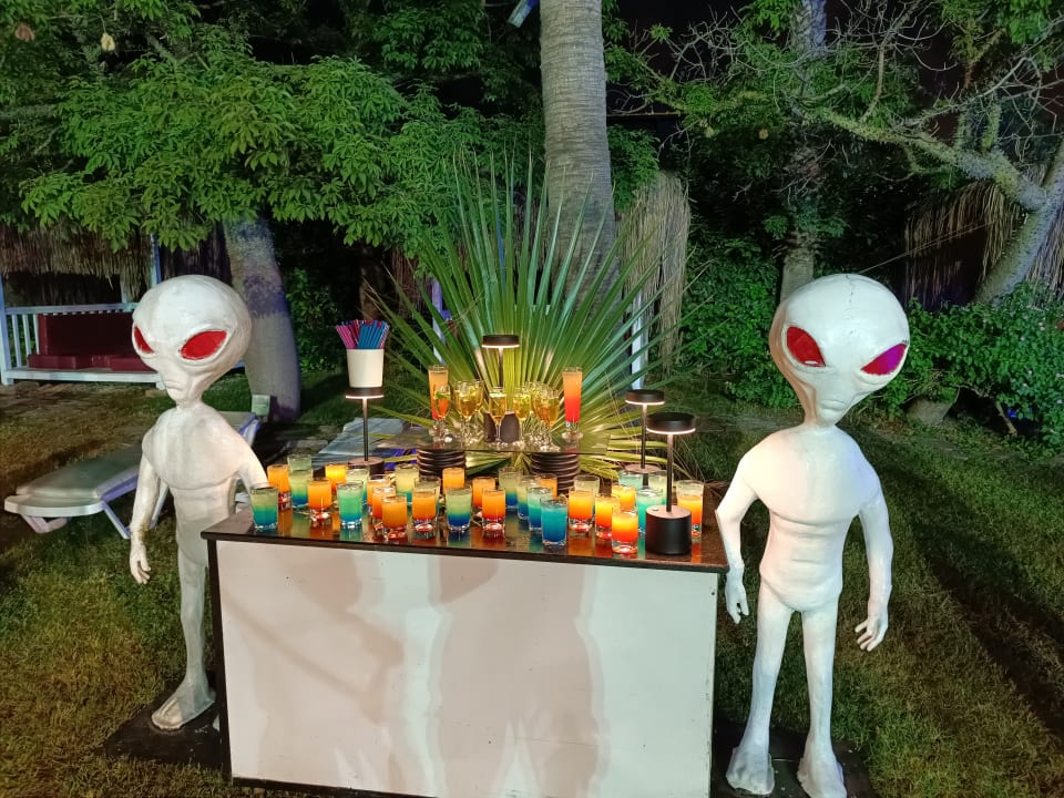 Gartenanlage Saturn Palace Resort Hotel