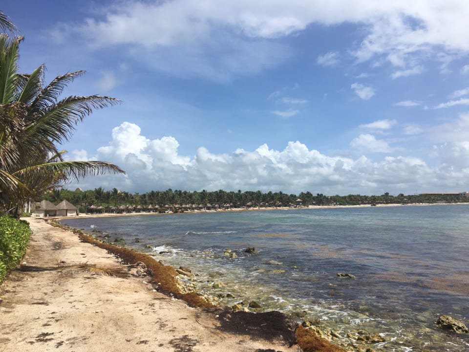 Strand TRS Yucatan Hotel - Adults only