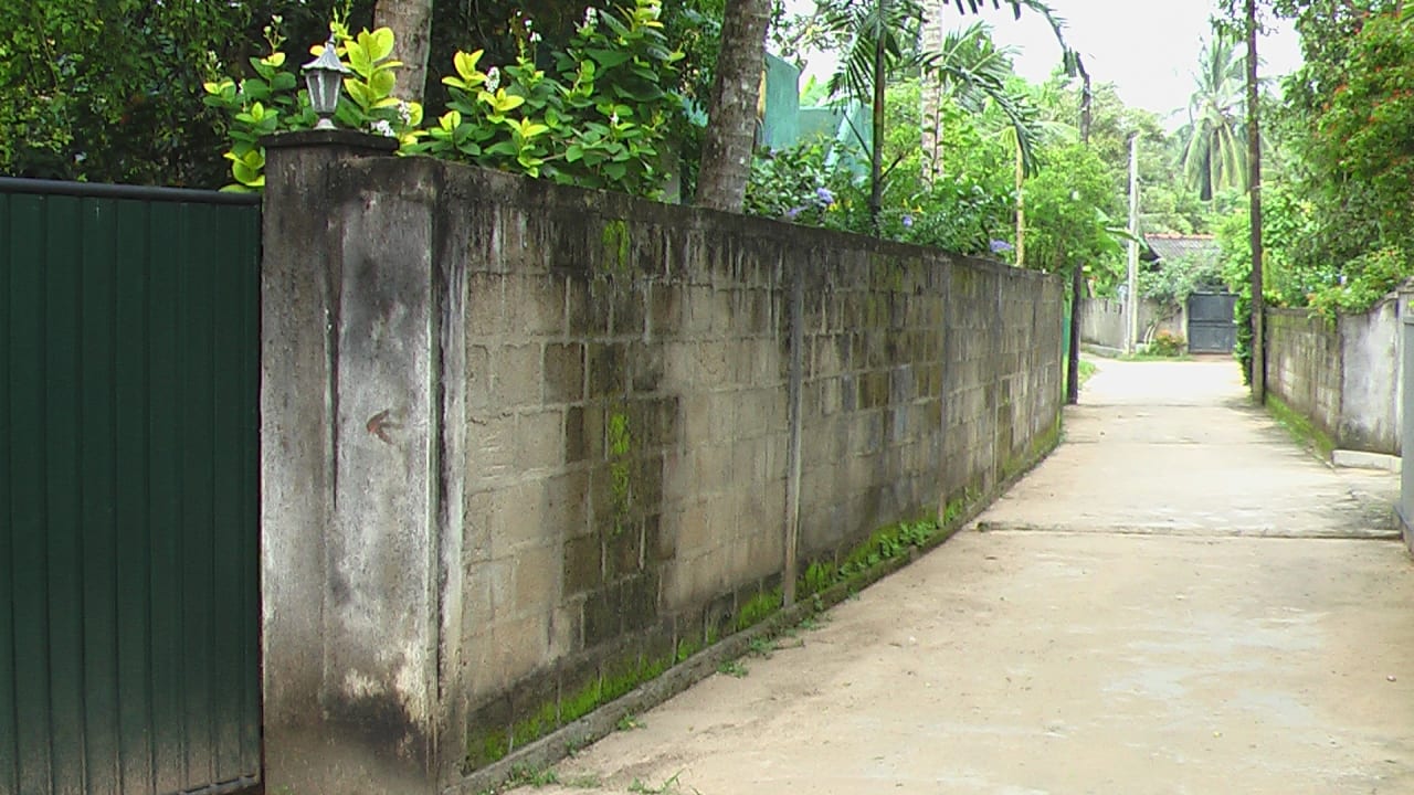 Außenansicht Sunshine Guesthouse