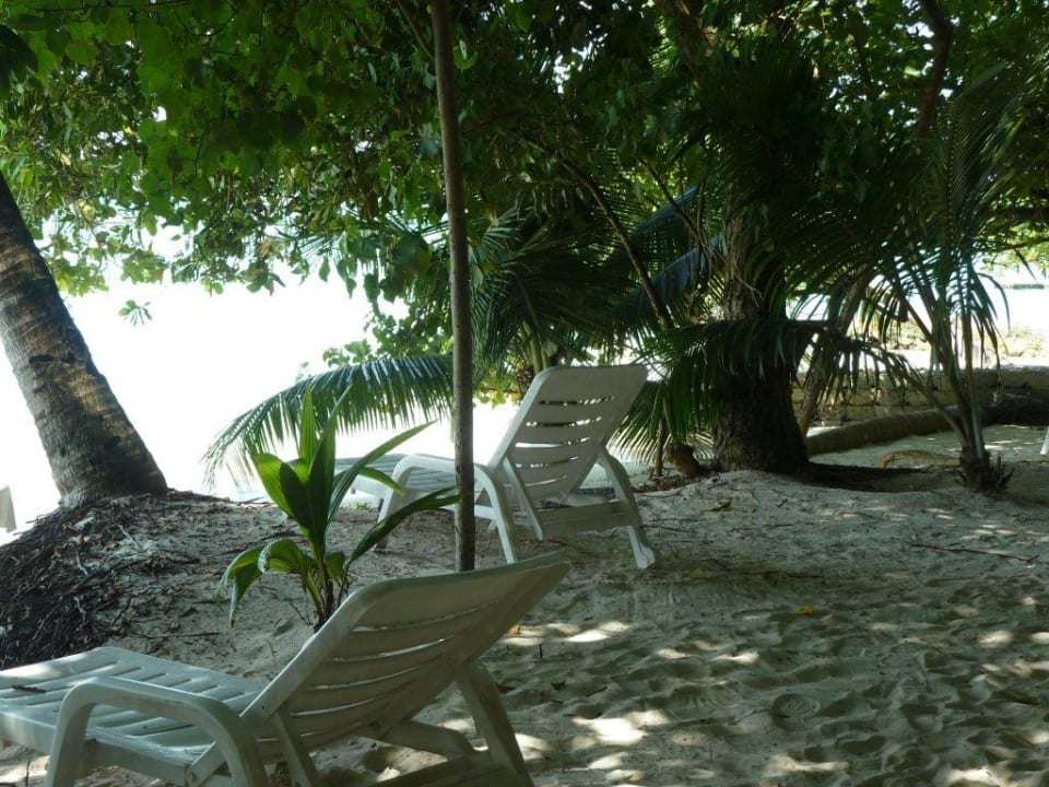 Liegen bei #119 Adaaran Club Rannalhi - All Inclusive